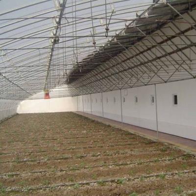 China 2000.000kg Tomato and Cucumber Cultivation Sunlight Greenhouse Solution with Arched Roof for sale