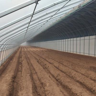 China Large-Scale Cucumber Farming Made Easy with Humidity-Controlled Commercial Greenhouse for sale