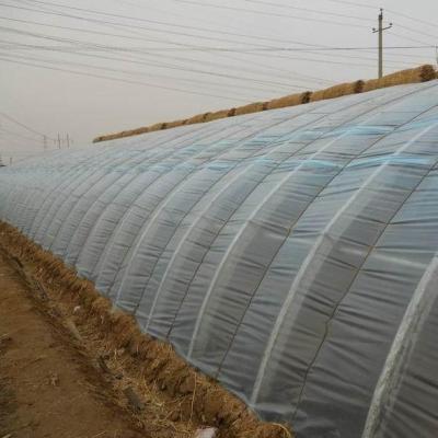 China Alimentação de tomates Estufas de sol com controle de umidade e controle de temperatura à venda