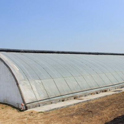 China Commercial Hydroponic Greenhouse for Cucumber Planting Heating Method Temporary Heating for sale