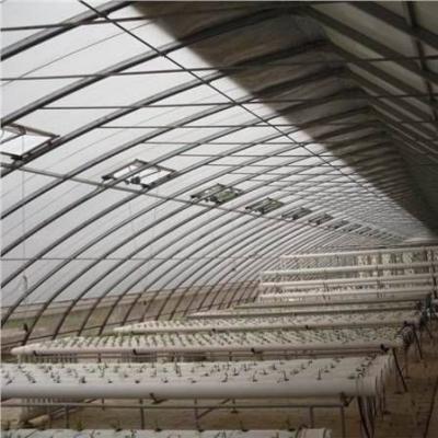 China Advanced Vegetable Cultivation Sunlight Greenhouse 40HQ Reefer Container for Superior for sale