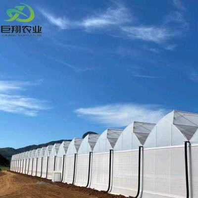 China Hydroponic Planting Multi Span Greenhouse for Vegetables/Tomato 200 Microns Film Cover for sale