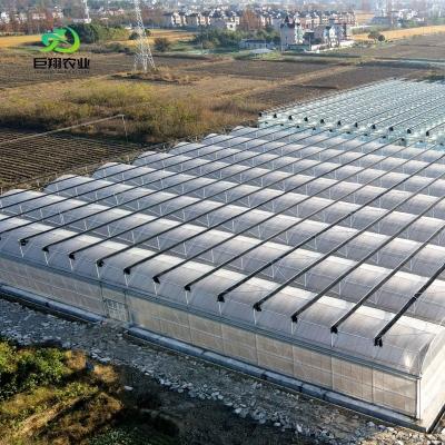 China Blueberry Grapes Commercial Greenhouse with Heat Preservation Quilt and Heating System for sale