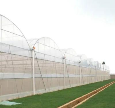 China 30-Day Return Guarantee Anti-Drip Fogging Double-Film Greenhouse Structure jx-fg-001 for sale