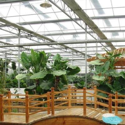 China Juxiang Sheet PC Board Green House for Hydroponic Growing Systems Strawberry Customized for sale