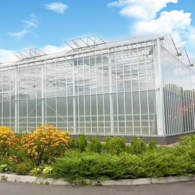 China Eco-Friendly Multi Span Glass Greenhouse Customization and Estimated Delivery Time for sale