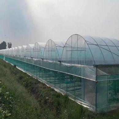 China jx-fg-42 Steel Structure Anti-Drip Fogging Film Greenhouse for Single-Film Hydroponic for sale