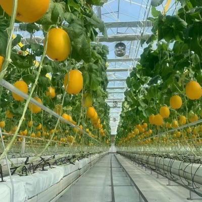 China Proper Intelligent Garden Glass Frame Agriculture Greenhouse Sale 100.000kg Gross Weight for sale