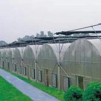 China 2000.000kg Package Gross Weight Single-Pan Hydroponic System for Double-Arch Greenhouse for sale