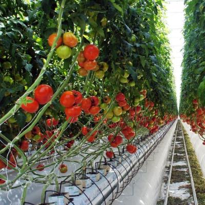 China Temporary Heating Film Greenhouse Vegetable and Flower Hydroponic System for Planting for sale