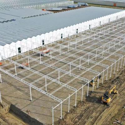 China Steel Structure Greenhouse for Pepper Production using Hydroponics Cultivation Method for sale