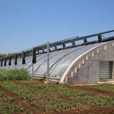 China Aquaculture Double Arch Beam Sunlight Greenhouse with Snow Vibrator in Heavy Snow Area for sale