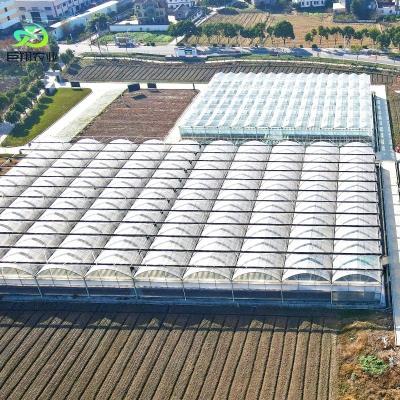 China Continuous Heating and Tunnel Cultivation Method Agricultural Plastic Film Greenhouse for sale