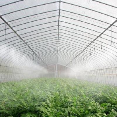 China Customized Request Production Greenhouse Agricultural Multi-Span Plastic Tunnel Film for sale