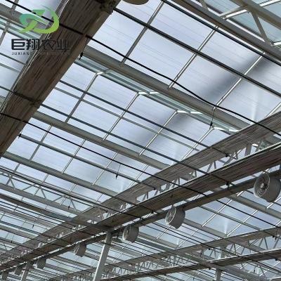 China Glass Covered Double Layer Greenhouse for Hydroponic Vegetable/Flower/Fruit/Garden for sale