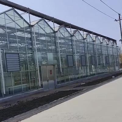 China Large and Venlo Style Glass Agricultural Greenhouse with Automatic Control System for sale