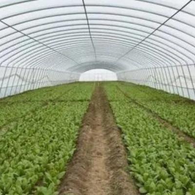 China Invernadero de jardín de vidrio con marco de aluminio Invernadero comercial victoriano para verduras en venta