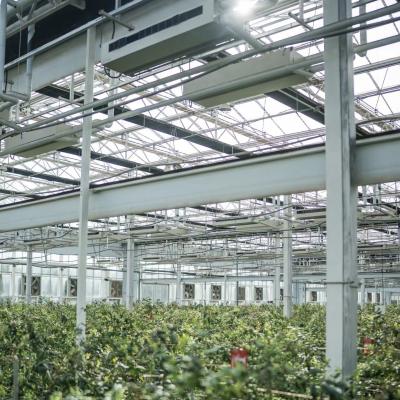 China High Light Transmission Glass Greenhouse for Flowers Package Gross Weight 100.000kg for sale