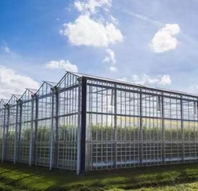 China Staalstructuur Venlo Hydroponics Groei Systeem voor Hydroponic Groente Teelt Te koop