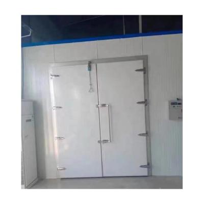 China Hotels Double Open Cold Room Door Cold Storage Door for sale