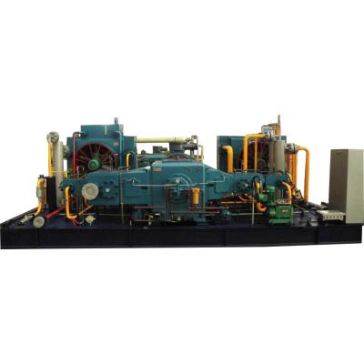 China Compact structure and low power consumption low energy consumption and smooth operation for d type compressor for sale