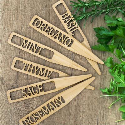 China Custom Garden Work Garden Plant Labels Bamboo Plywood Herb Tags Identification Markers Plant Labels for sale