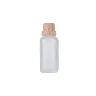 China Personal Care 5/10/15/20/30/50/100ml Frosted Euro Glass Dropper Bottles Essential Oil Liquid Aromatherapy Vials Containers for sale