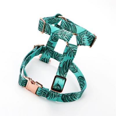 China Luxury DETACHED Nylon Pet Harness Webbing Dog Leash Set Xxs Customizable Dog Harness for sale