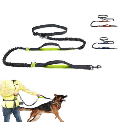 China Padded Competitive Price Elastic Waistband 3 In 1 Bungee Hands Free Running Dog Leash for sale