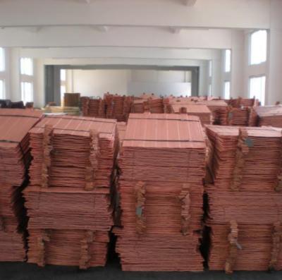 China High Pure Factory Electrolytic Copper Cathodes Point Supply 914*914*12mm for sale