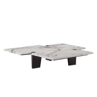 China Modern New In Italian Designer Brand Special-shaped Natural Marble Coffee Center Table for sale