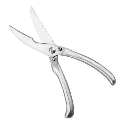 China 430 stainless professional kitchen use powerful chicken bone scissors to cut bone for sale