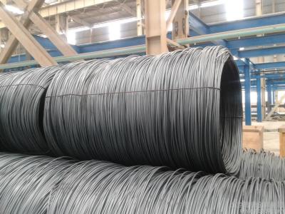 Cina vergella materiale dell'acciaio inossidabile 6x19 201 di 5.5mm per l'elettro bici in vendita