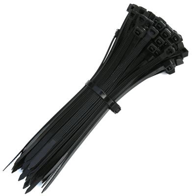 China Outdoor Electronic Equipment 3SER 2.5*150mm Self Locking Nylon Tie Cable Binding for sale