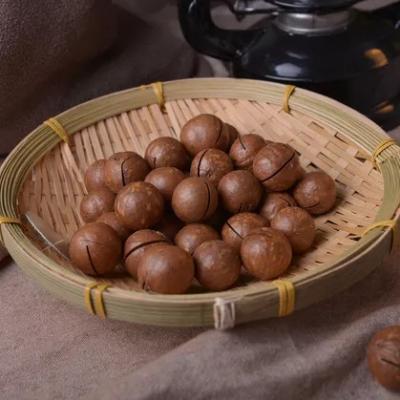 China 2020 Factory Supply Chinese Cultivation High Quality Price Dry Whole Raw Roasted Australia Hazelnut With Shell for sale