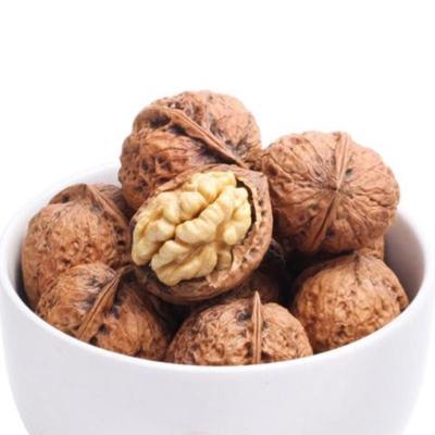 China 2020 Factory Supply Cheap Price Dry Crop Large Size Wallnuts Dried Walnut Inshell for sale