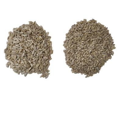 China Supplier Non-extra good quality raw sunflower seeds kernels for sale