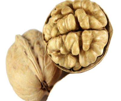 China Dry 2019 New Crops Thinly Shelled Walnuts Raw Cheap Walnuts for sale