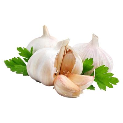 China Garlic Seeds with 1 Ton of Fresh Garlic from Best Prices Guaranteed for sale