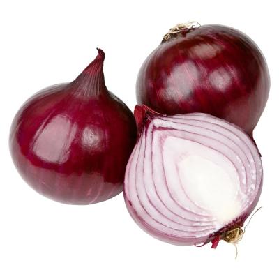 China Fresh Style Round Onion Whole Peeled with Best from Professional for sale