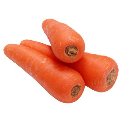 China Fresh carrot from China newest harvesting wholesale carrots price per ton for sale