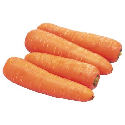 China Wholesale carrots price fresh price per ton from China for sale