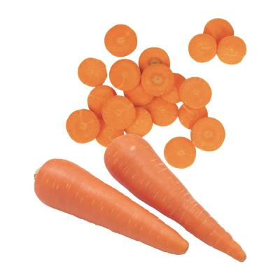 China Chinese supplier fresh new season vegetables wholesale baby carrot fresh price in China fresh carrot seeds for sale for sale