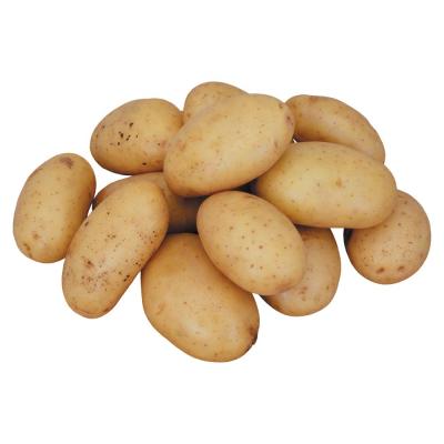 China export Potato chinese New Crop Frozen Potato In Good Quality In Bulk for sale