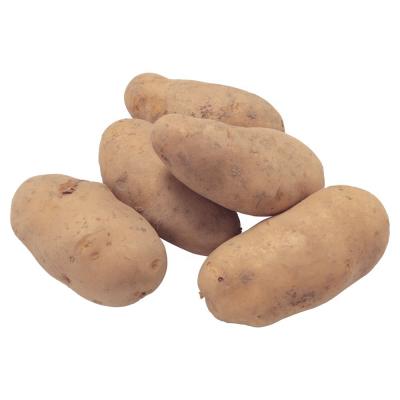 China export Potato Professional potato exporter Factory Potato Price for sale