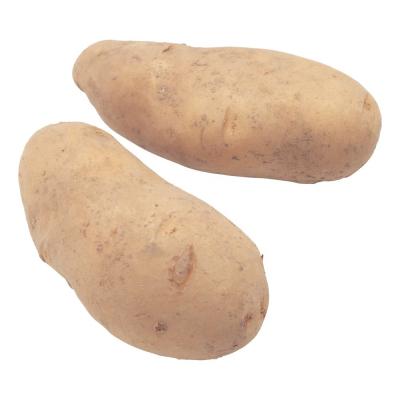 China fresh potato price per ton For Wholesale High quality for sale