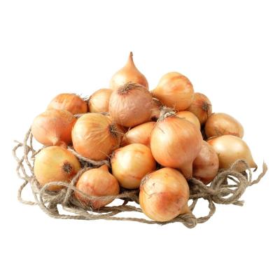 China 2023 new crop of fresh onions red and yellow onion white price per ton in China Chinese onion fresh for sale for sale