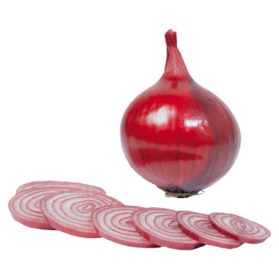 China 2023 new crop of brand fresh onions red and yellow white onion price per ton in China for onion importers South Africa for sale