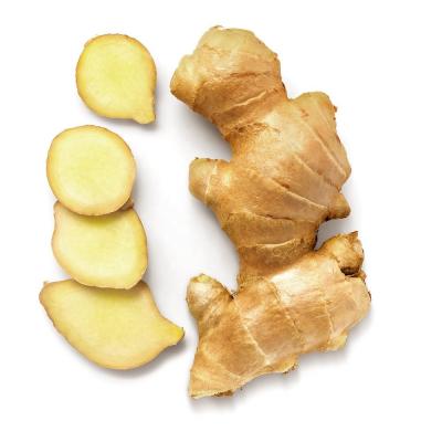 China High Quality china new fresh elephant ginger price 2023 Fresh Ginger Export in box packaging for sale