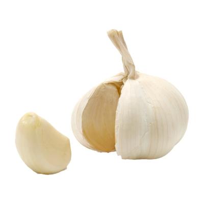 China 2023 Chinese fresh peeled garlic vacuum nitrogen packed peeled garlic cloves in jars for sale